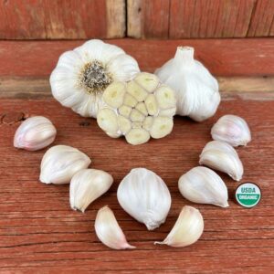 Nootka Rose Certified Organic Garlic Bulbs