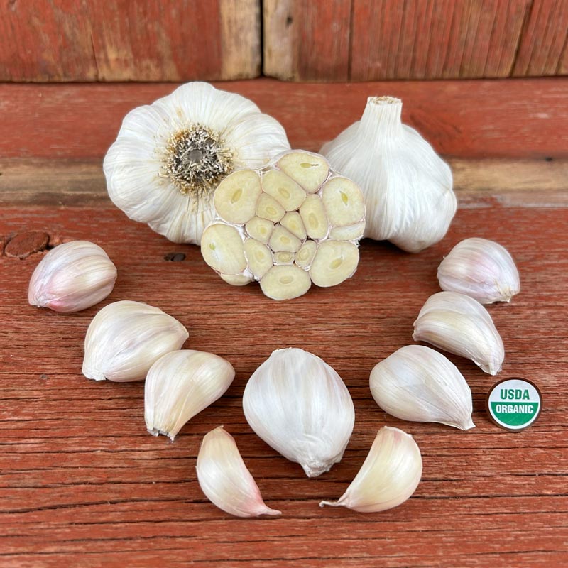 Nootka Rose Certified Organic Garlic Bulbs