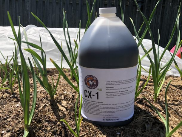 CX1 Liquid Organic Fertilizer - Purple Cow Organics | Keene Garlic