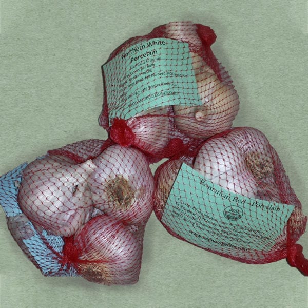 2lb Gardener's Garlic Package