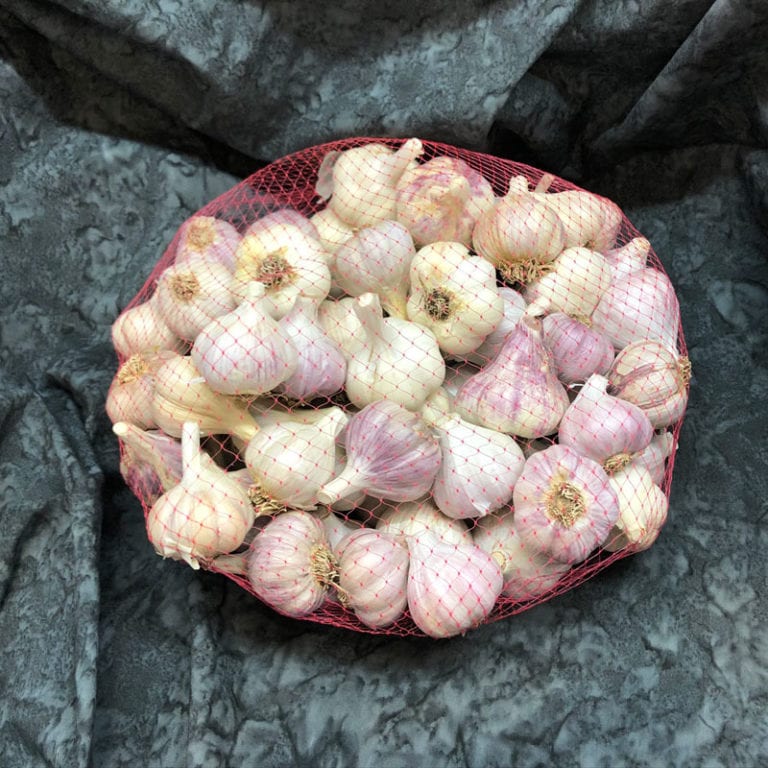 Bulk garlic packages for farmers and gardeners Keene Garlic
