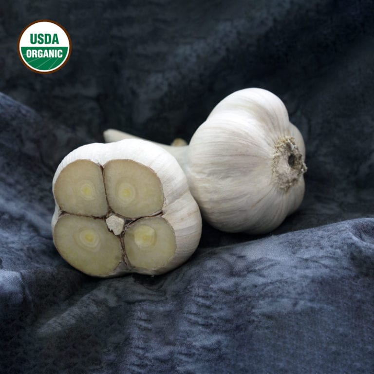 Armenian Certified Organic Garlic Bulbs Keene Garlic
