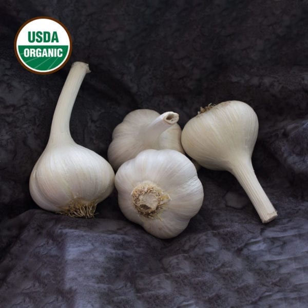 Armenian Certified Organic Garlic Bulbs