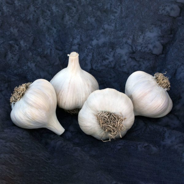 Asian Tempest Naturally Grown Garlic Bulbs