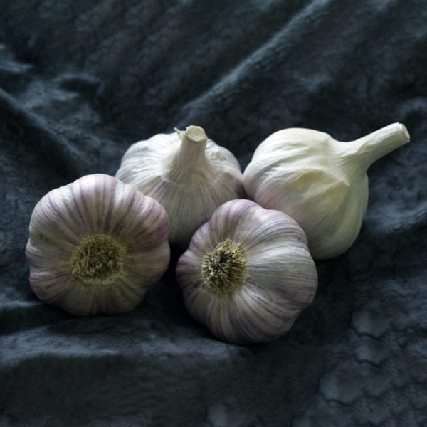 Chesnok Red Naturally Grown Garlic Bulbs