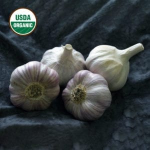 Chesnok Red Certified Organic Garlic Bulbs