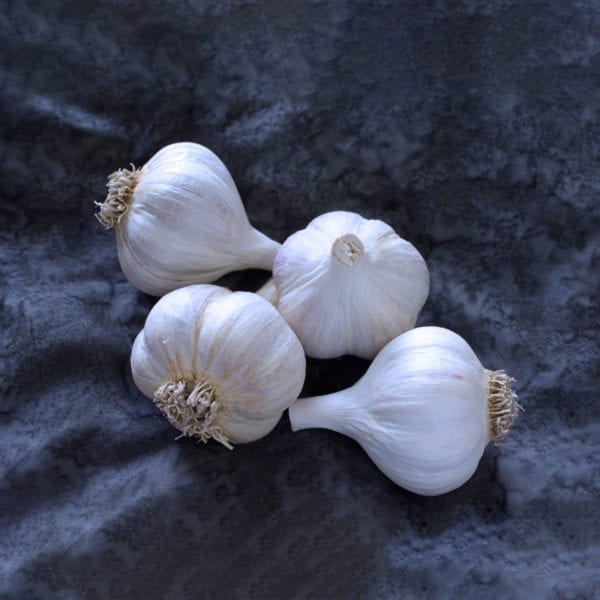 Georgian Crystal Naturally Grown Garlic Bulbs