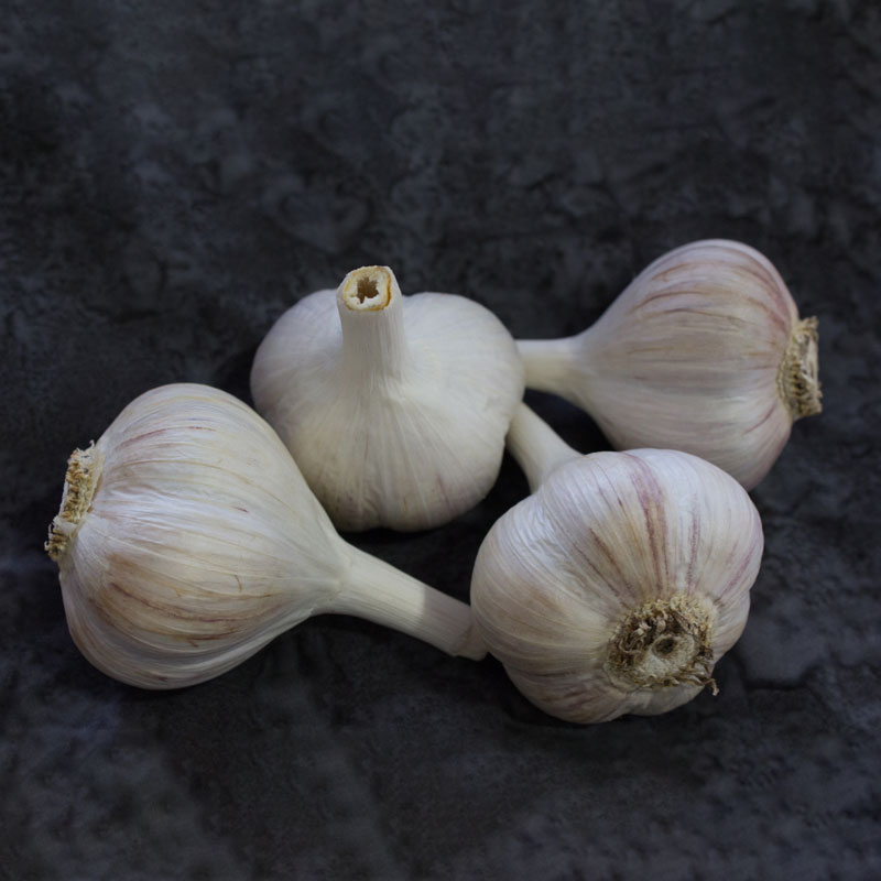 Georgian Fire Naturally Grown Garlic Bulbs