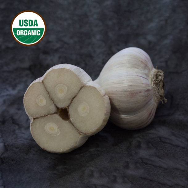 Fire Certified Organic Garlic Bulbs