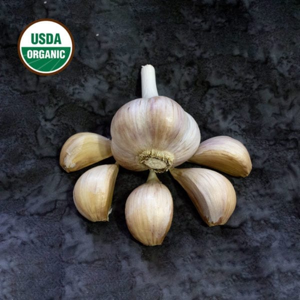 Georgian Fire Certified Organic Garlic Bulbs
