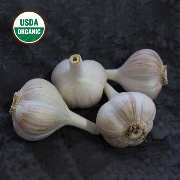 Fire Certified Organic Garlic Bulbs