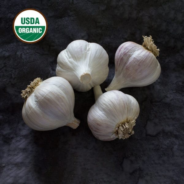 German Extra Hardy Certified Organic Garlic Bulbs