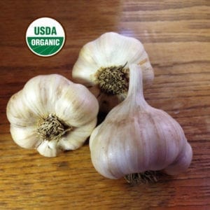 Kettle River Giant Certified Organic Garlic Bulbs