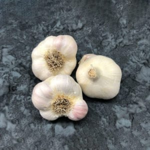 Nootka Rose Naturally Grown Garlic