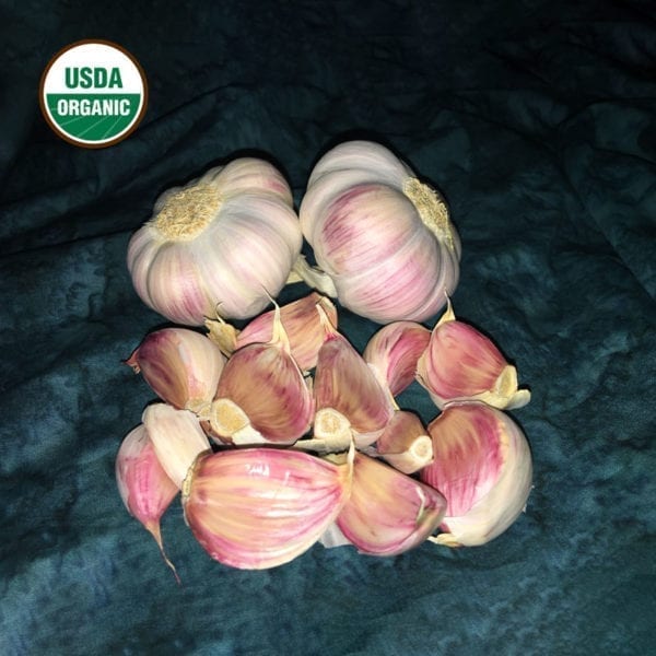 Rose de Lautrec Certified Organic Garlic Bulbs