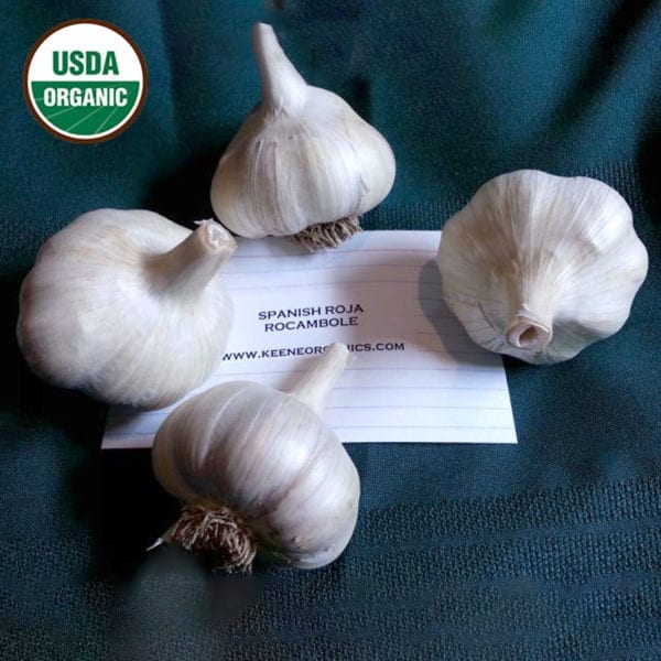 Spanish Roja Certified Organic Garlic