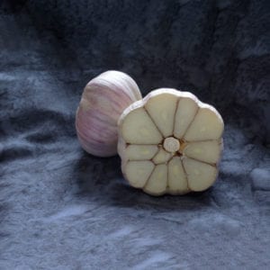 Dunganski Naturally Grown Garlic Bulbs