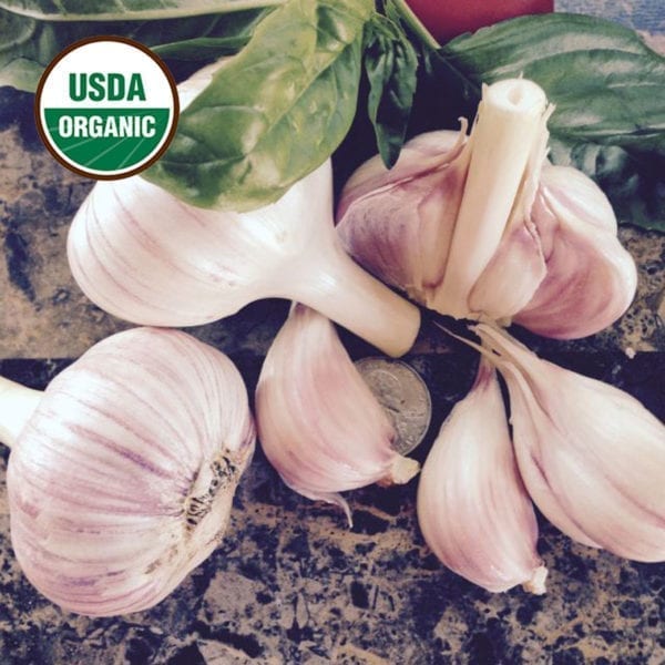Vietnamese Red Certified Organic Garlic Bulbs