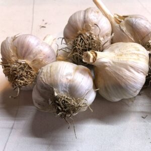 Imperfect Garlic Bulbs