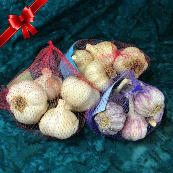Garlic Gardeners Gift Package