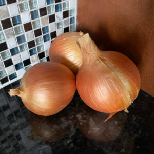 Conservor - Organic (F1) Shallot Seed