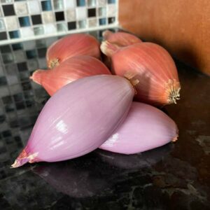 Red Shallots - Certified Organic