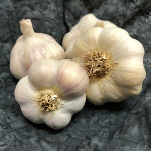Early Italian Softneck Certified Organic - Spring Planting Garlic Bulbs - 1LB