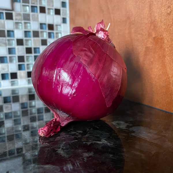 Redwing Onion Transplants- Certified Organic