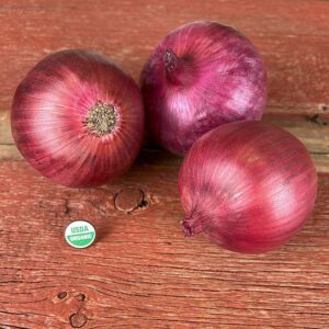 Redwing Onion Plants - Certified Organic