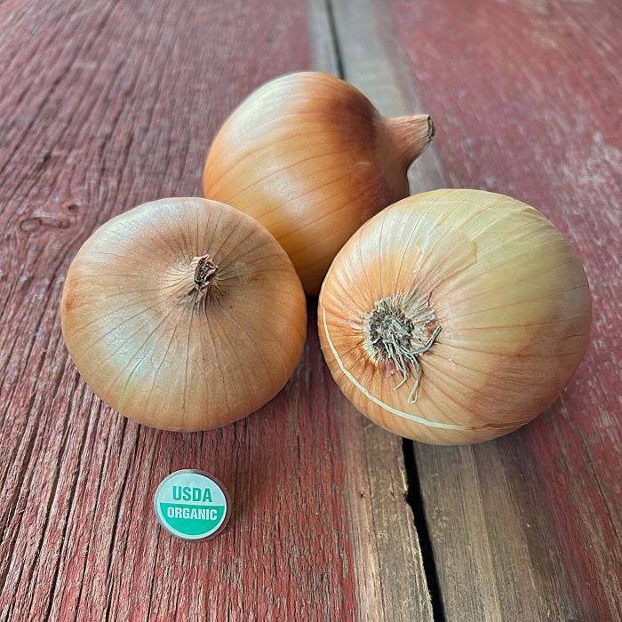 Organic Sedona Onion