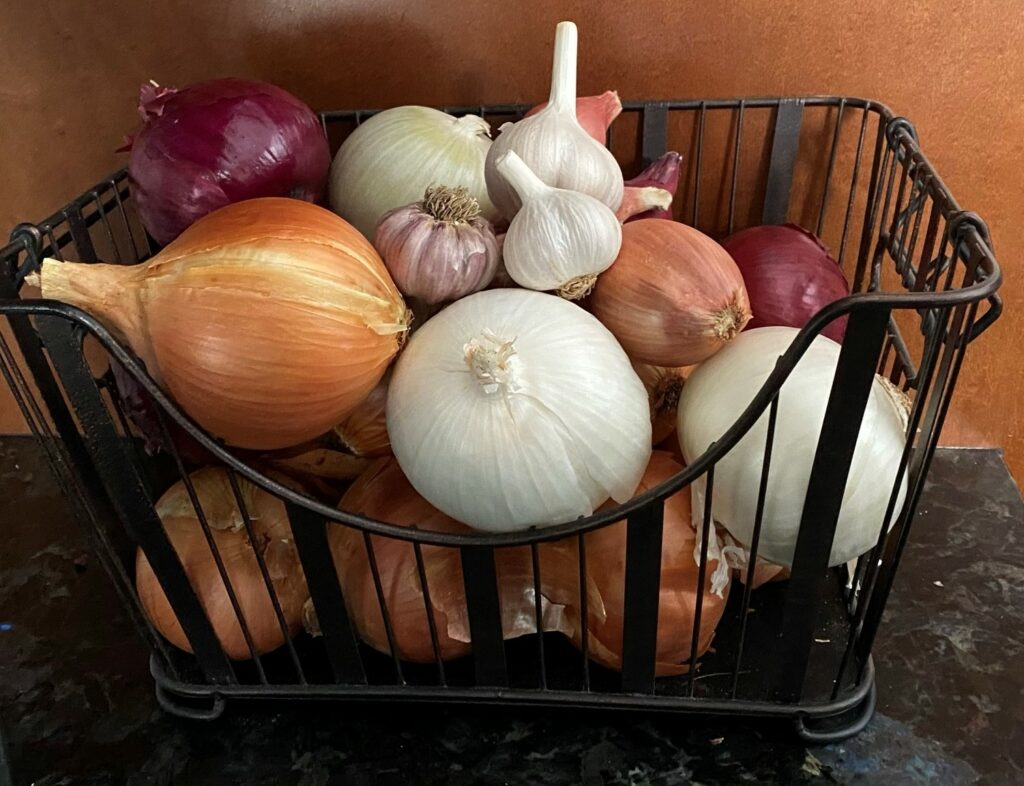 Organic Onion Collection Keene Garlic