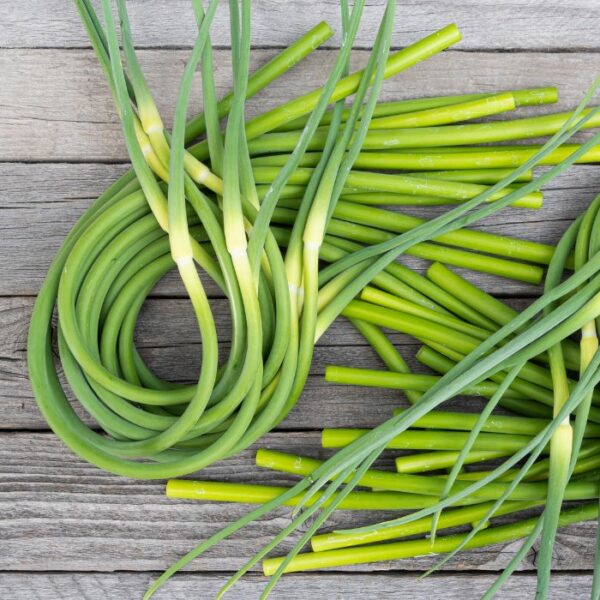 Organic Garlic Scapes Freeze Dried