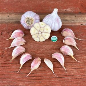 Dunganski Certified Organic Garlic Bulbs