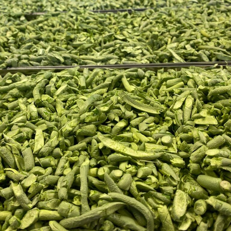 Organic Garlic Scapes Freeze Dried Keene Garlic