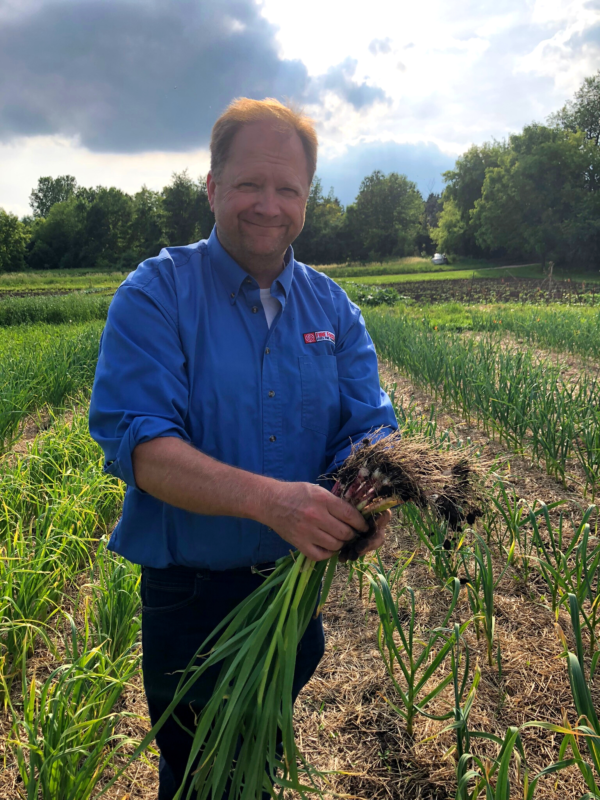 Green Spring Garlic Keene Garlic