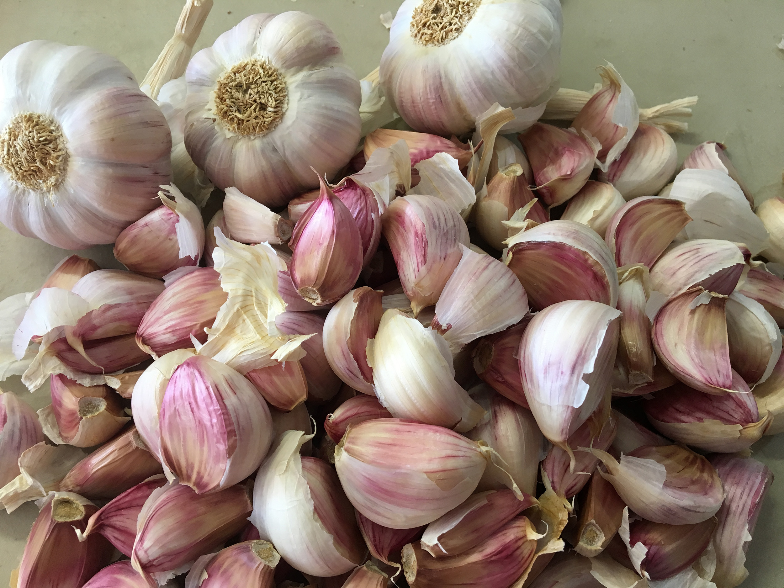 Organic Everything Bagel Seasoning - Keene Garlic