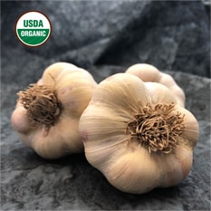Growing Garlic in Warmer Climates