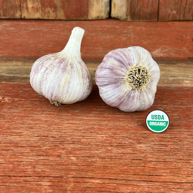 Korean Red Certified Organic Garlic Bulbs