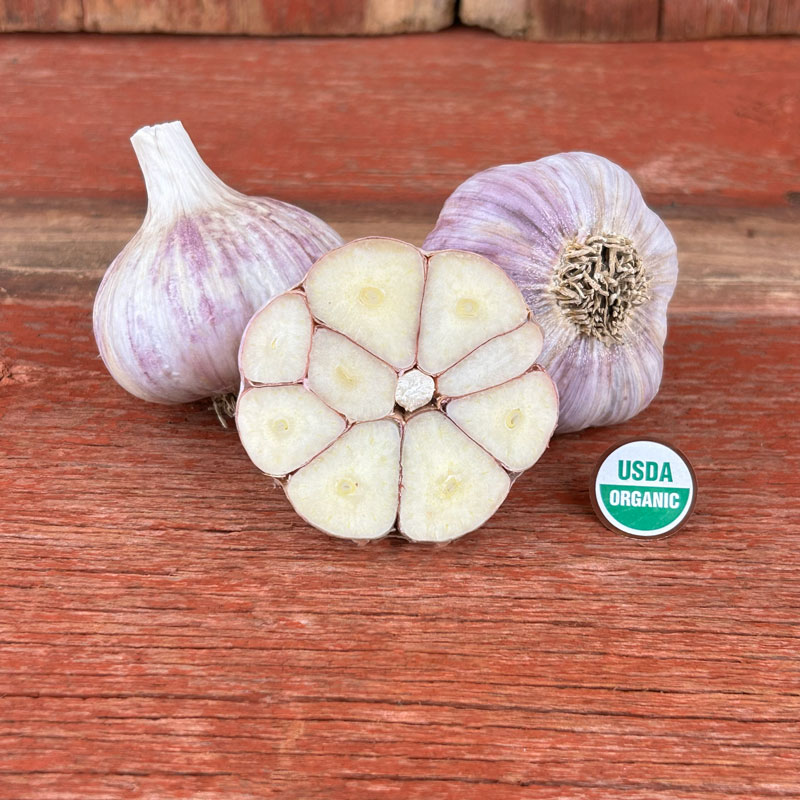 Korean Red Certified Organic Garlic Bulbs