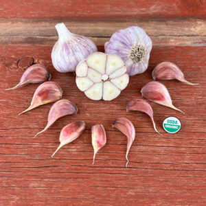 Korean Red Certified Organic Garlic Bulbs