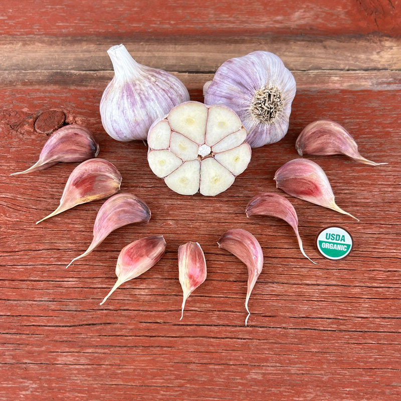 Korean Red Certified Organic Garlic Bulbs