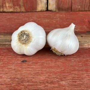 Silver Rose Garlic Bulbs for Spring Planting