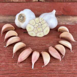 Silverwhite Garlic Bulbs