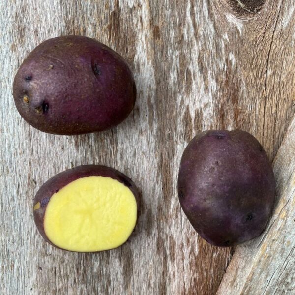 Peter Wilcox Seed Potato - Organic