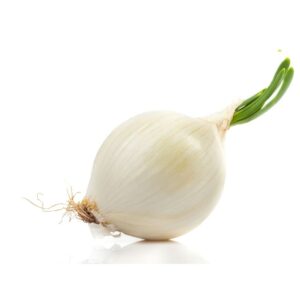 Gladstone Onion Plants - Certified Organic