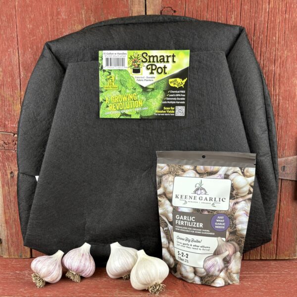 Organic Garlic Container Garden Kit