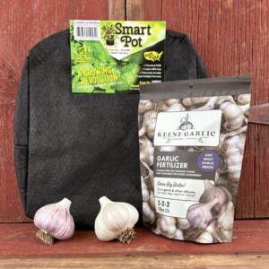 Organic Garlic Container Garden Kit