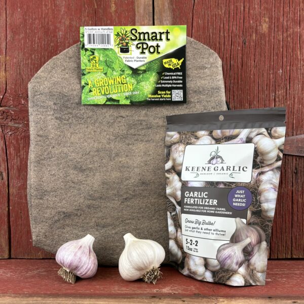 Organic Garlic Container Garden Kit