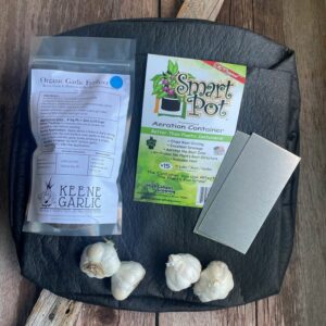 Organic Garlic Container Garden Kit