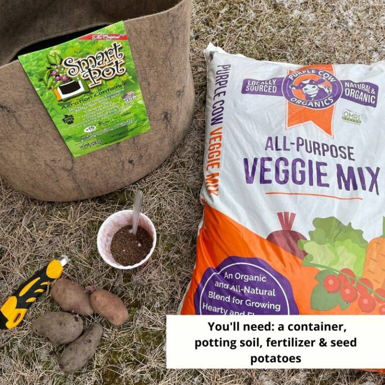 Potato Planting Instructions Keene Garlic